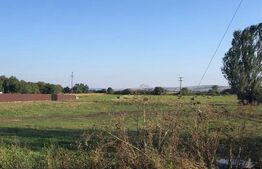  Teren intravilan,  12.200mp, zona Francei. (2 parcele-se vand si separat)