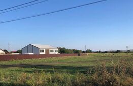  Teren intravilan,  12.200mp, zona Francei. (2 parcele-se vand si separat)