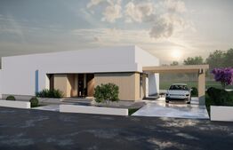 Casa parter, 120 mp utili, 500 teren, zona Passa Tempo 