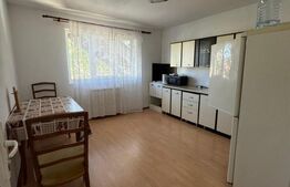 Spatiu birouri, strada principala, 150mp, Radauti