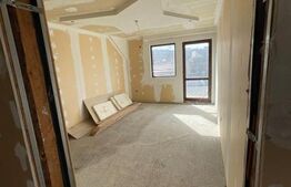 Spatiu comercial cu destinatii multiple, semifinisat, 227 mp, zona Scheia