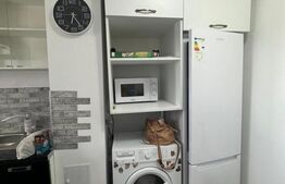 Garsoniera utilata si mobilata modern, Radauti