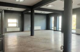 Cladire cu 3 spatii comerciale individuale, zona centrala, Radauti