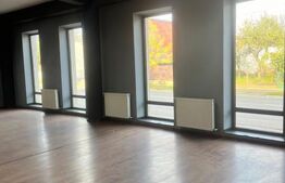 Cladire cu 3 spatii comerciale individuale, zona centrala, Radauti