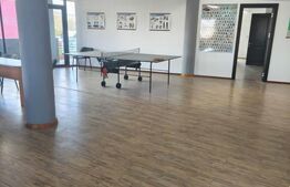 Cladire cu 3 spatii comerciale individuale, zona centrala, Radauti