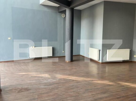 Spațiu comercial de închiriat Radauti - 160635SIC | BLITZ Suceava | Poza5