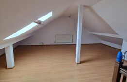 Duplex, 4 camere, 140 mp, zona Sfantul Ilie