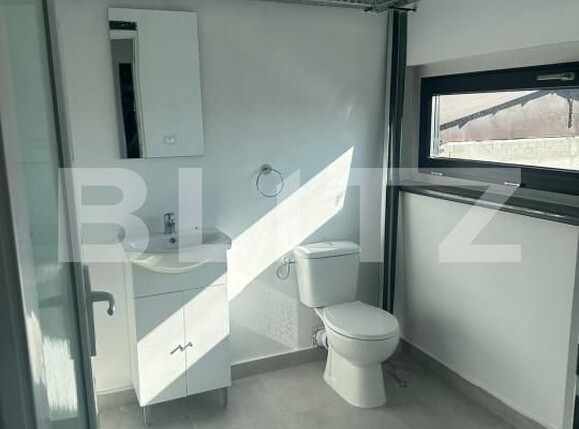 Spațiu industrial de închiriat Burdujeni - 160776SII | BLITZ Suceava | Poza9