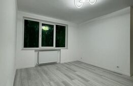 Apartament 2 camere, 43mp, complet renovat, Zona Centrală