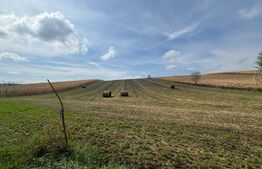 Teren intravilan, 78 ari, zona Moara 