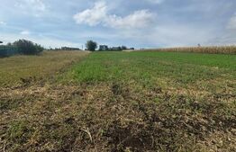 Oportunitate! Teren 25 ari, zona Moara Bulai