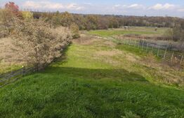  Casa+ teren 4000mp, zona Horodnic de Sus, Radauti