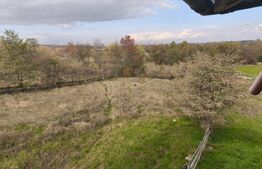  Casa+ teren 4000mp, zona Horodnic de Sus, Radauti