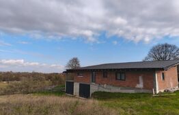  Casa+ teren 4000mp, zona Horodnic de Sus, Radauti