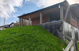  Casa+ teren 4000mp, zona Horodnic de Sus, Radauti