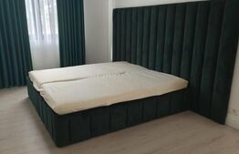  Casa+ teren 4000mp, zona Horodnic de Sus, Radauti