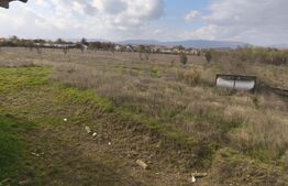  Casa+ teren 4000mp, zona Horodnic de Sus, Radauti