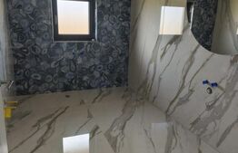  Casa+ teren 4000mp, zona Horodnic de Sus, Radauti