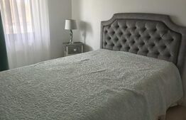  Casa+ teren 4000mp, zona Horodnic de Sus, Radauti