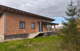  Casa+ teren 4000mp, zona Horodnic de Sus, Radauti