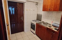 Garsoniera 22mp, zona Garii