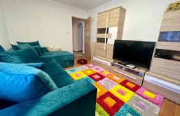 Apartament cu 2 camere, parter - cartier Burdujeni