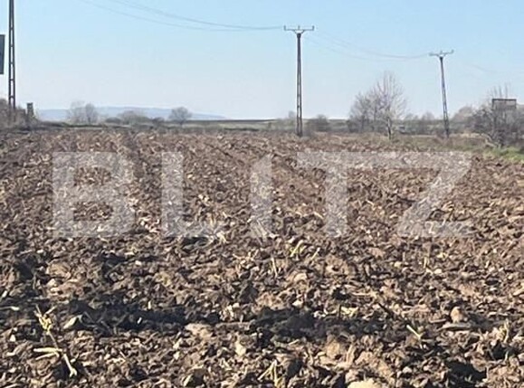 Teren de vânzare Patrauti - 161300TV | BLITZ Suceava | Poza3