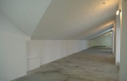 Spatiu industrial, 1890 mp + teren 10450 mp, zona Burdujeni