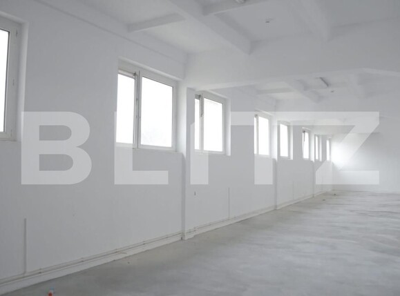 Spațiu industrial de vânzare Burdujeni - 161316SVI | BLITZ Suceava | Poza8