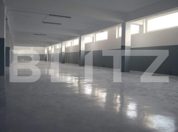 Spațiu industrial de vânzare Burdujeni - 161316SVI | BLITZ Suceava | Poza2