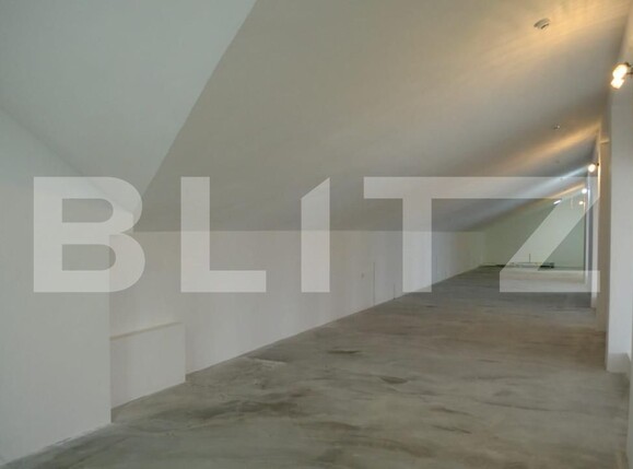 Spațiu industrial de vânzare Burdujeni - 161316SVI | BLITZ Suceava | Poza3