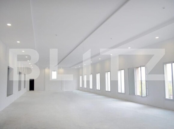 Spațiu industrial de vânzare Burdujeni - 161316SVI | BLITZ Suceava | Poza9