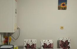 Casă de vânzare în Gura Humorului + teren generos