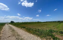 Teren intravilan , 5000 mp , front 14,5 zona Lisaura 