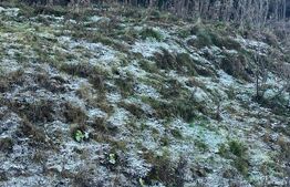 Teren intravilan, 20000 mp, zona Manastirea Humorului