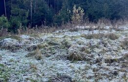 Teren intravilan, 20000 mp, zona Manastirea Humorului