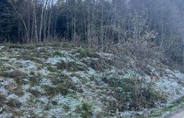 Teren intravilan, 20000 mp, zona Manastirea Humorului