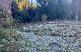 Teren intravilan, 20000 mp, zona Manastirea Humorului