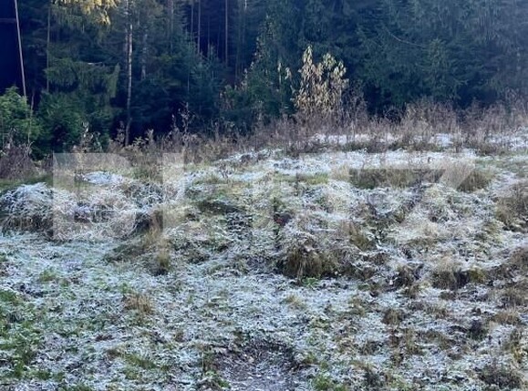 Teren de vânzare Manastirea Humorului - 161381TV | BLITZ Suceava | Poza2