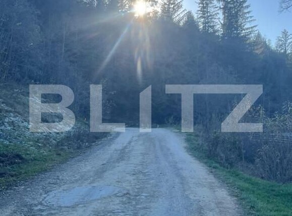 Teren de vânzare Manastirea Humorului - 161381TV | BLITZ Suceava | Poza5