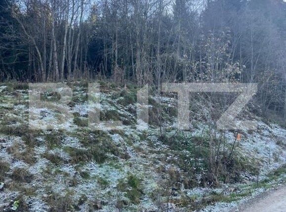 Teren de vânzare Manastirea Humorului - 161381TV | BLITZ Suceava | Poza4