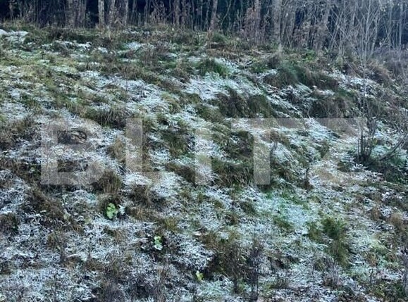 Teren de vânzare Manastirea Humorului - 161381TV | BLITZ Suceava | Poza3