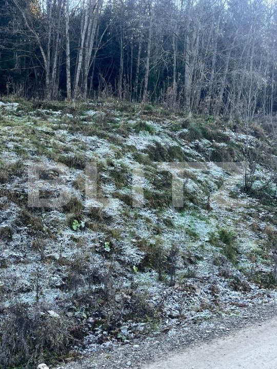 Teren de vânzare Manastirea Humorului - 161381TV | BLITZ Suceava | Poza3