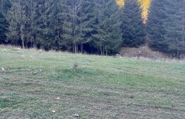 Teren extravilan,8745 mp ,Manastirea Humorului