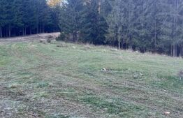 Teren extravilan,8745 mp ,Manastirea Humorului