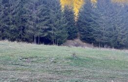 Teren extravilan,8745 mp ,Manastirea Humorului