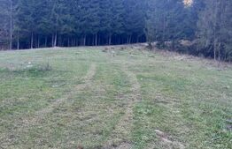 Teren extravilan,8745 mp ,Manastirea Humorului