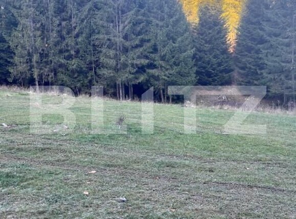 Teren de vânzare Manastirea Humorului - 161408TV | BLITZ Suceava | Poza4