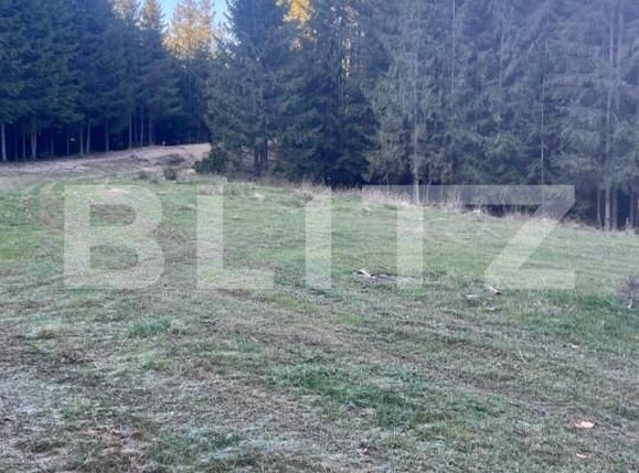 Teren de vânzare Manastirea Humorului - 161408TV | BLITZ Suceava | Poza3