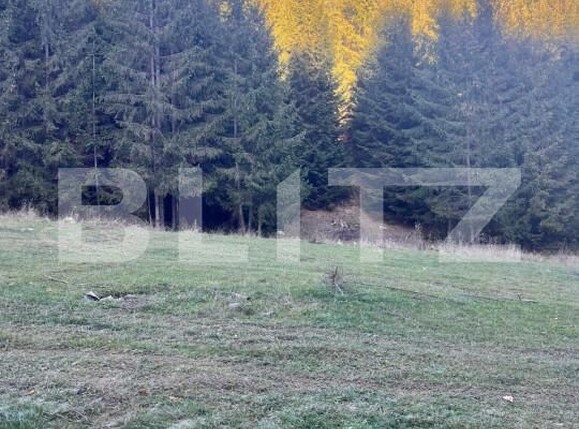 Teren de vânzare Manastirea Humorului - 161408TV | BLITZ Suceava | Poza1